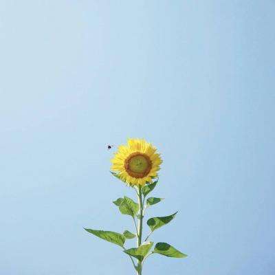 6113永利贵宾会体育娱乐APP/手机APP下载